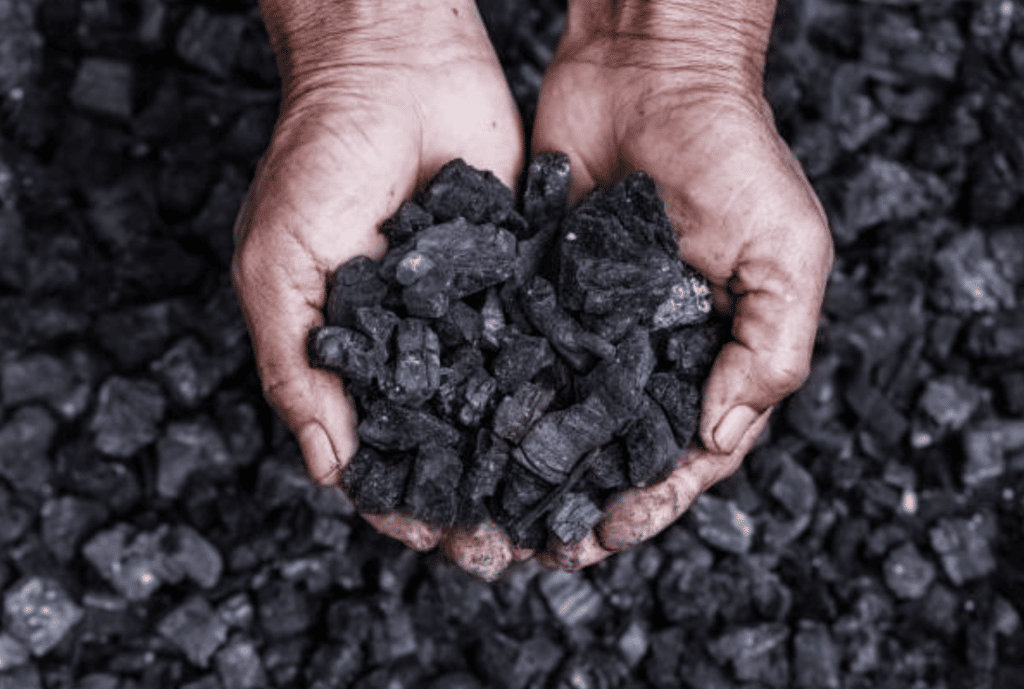 Coal Mining and Health: The Role of Coal Board Medicals